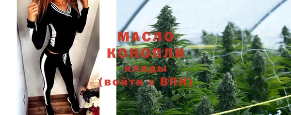молекула духа Алексеевка