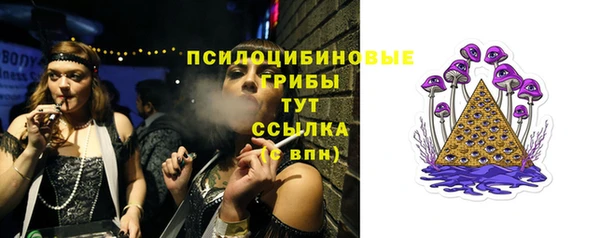 молекула духа Алексеевка